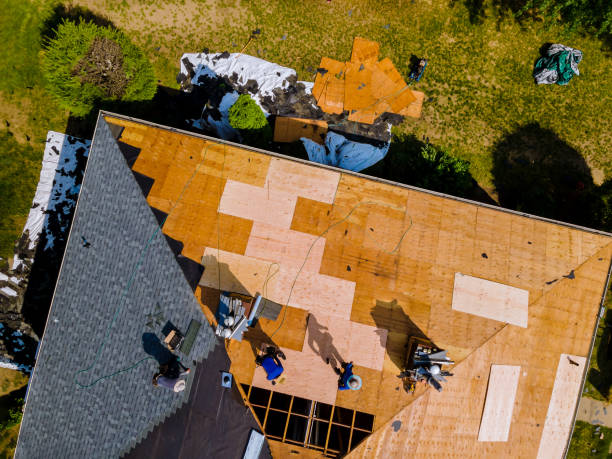 Best Roof Repair Specialists  in Ouray, CO