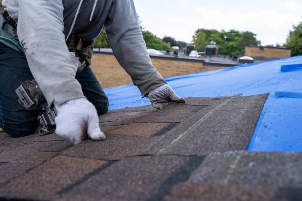 Best Storm Damage Roof Repair  in Ouray, CO