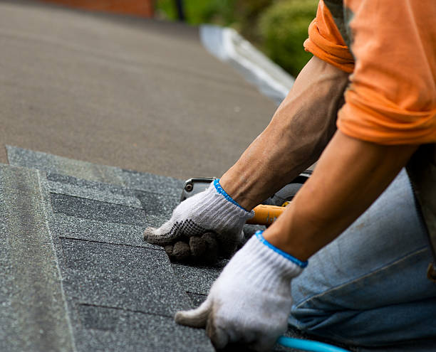 Best Best Roofing Contractors  in Ouray, CO