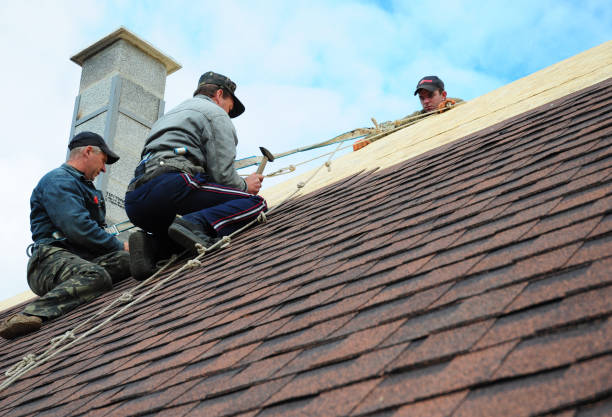 Best Commercial Roof Installation  in Ouray, CO